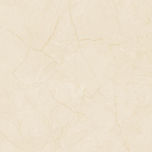 Gạch lát nềnÝ Mỹ  60x60 P68069C